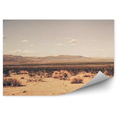 Fototapeta Południowa pustynia kalifornijska