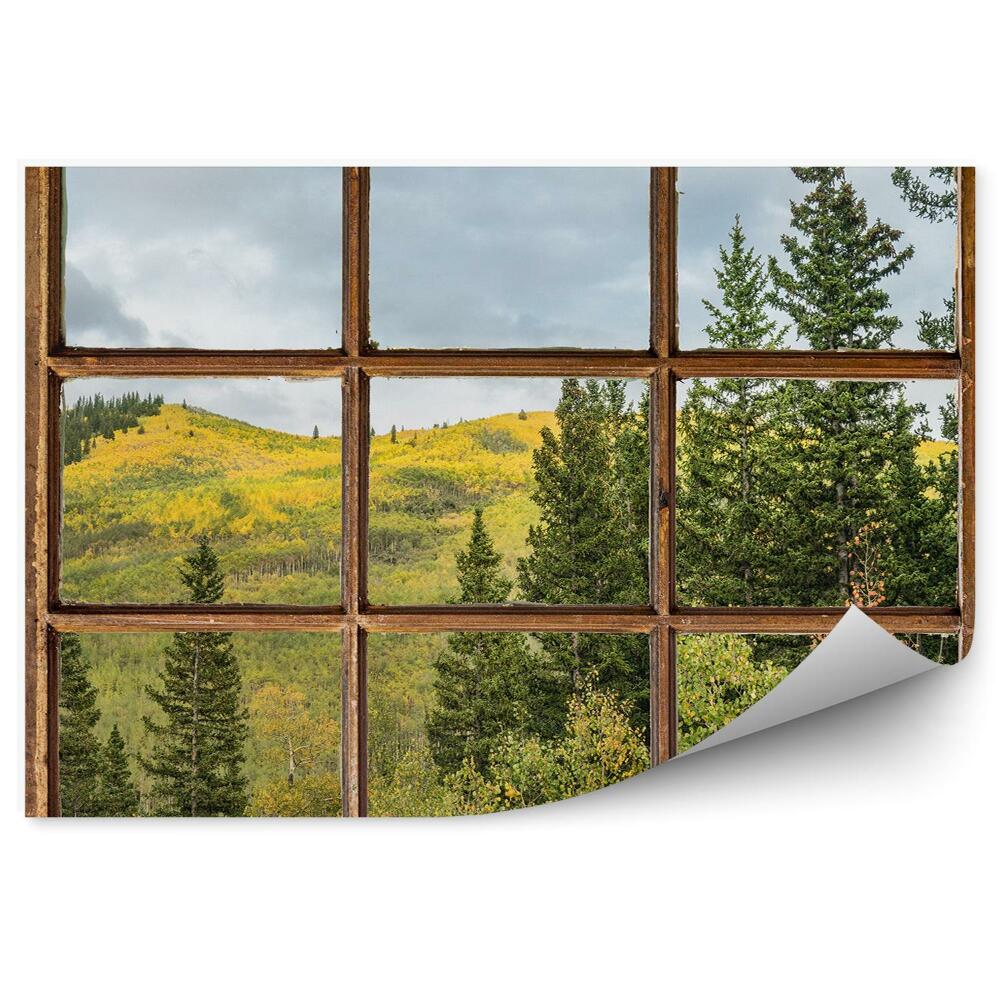 Fototapeta na ścianę Góry choinki zielona roślinność za oknem