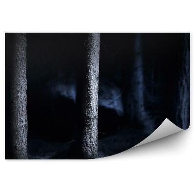 Okleina ścienna Las nocą