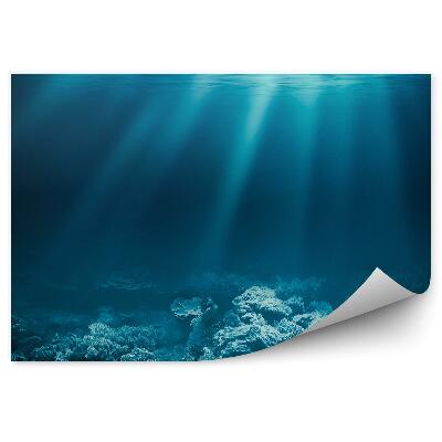 Okleina ścienna Dno oceanu rafa koralowa promienie słońca