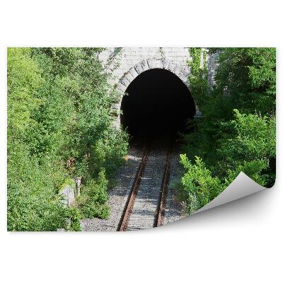 Okleina na ścianę Tunel tory kolej natura krzewy