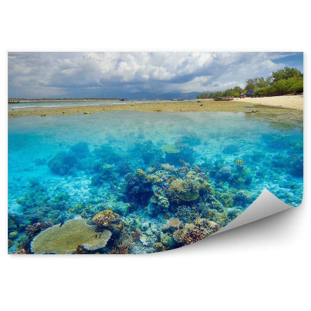 Okleina ścienna Piękna rafa koralowa plaża brzeg