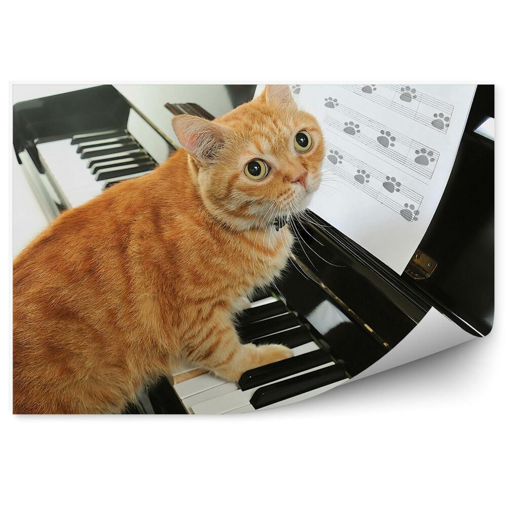 Fototapeta Kot grający na pianinie nuty pięciolinia zabawne