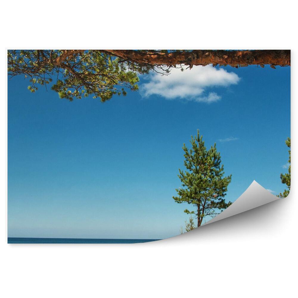 Fototapeta Drzewo trawa plaża słoneczny brzeg morze czarne niebo chmury