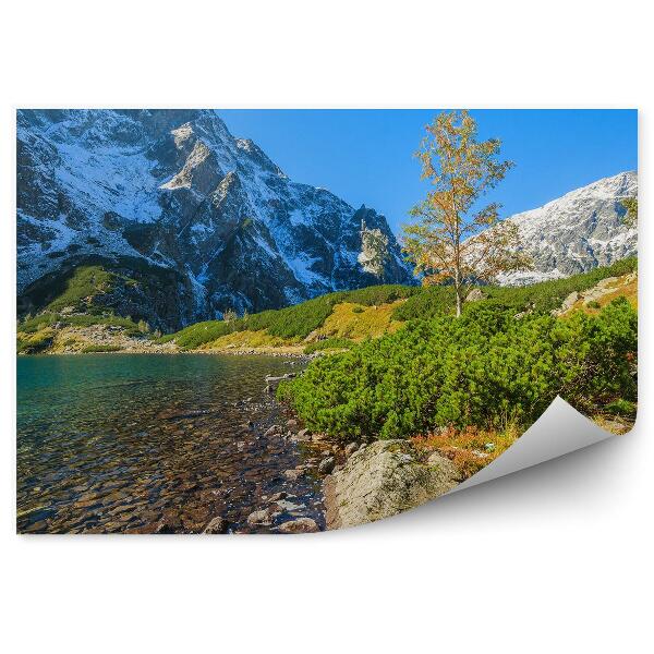 Fototapeta na ścianę Zielona tafla wody w Morskim Oku Tatry