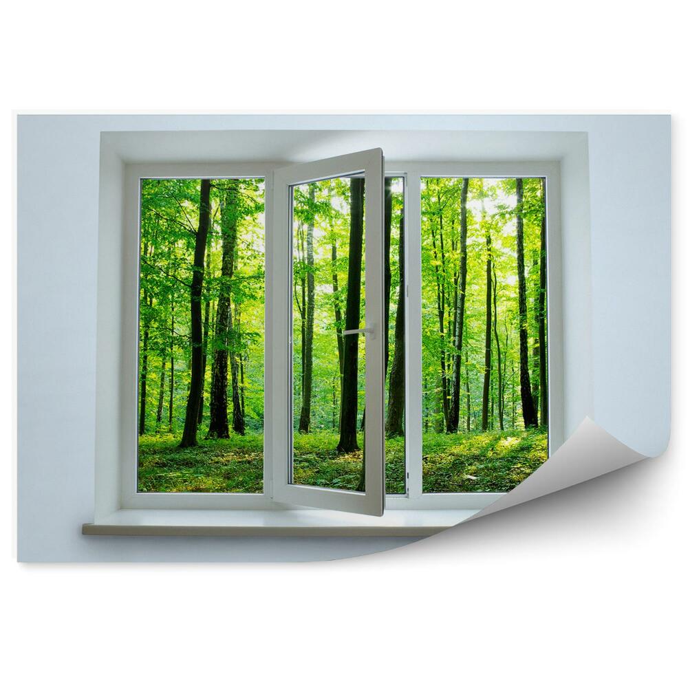 Fototapeta na ścianę Zielony las lato widok przez otwarte okno