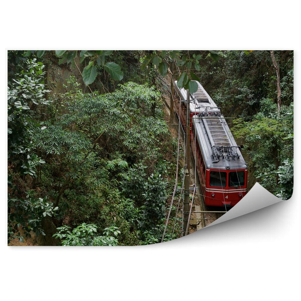 Fotopeta Red brazylijski pociąg dżungla natura roślinność
