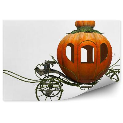 Fototapeta Kareta dynia