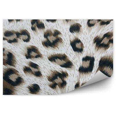 Fototapeta Cętki pantery