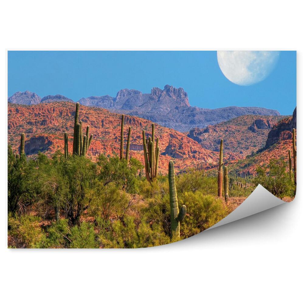 Fototapeta Kaktusy skały góry niebo księżyc pustynia