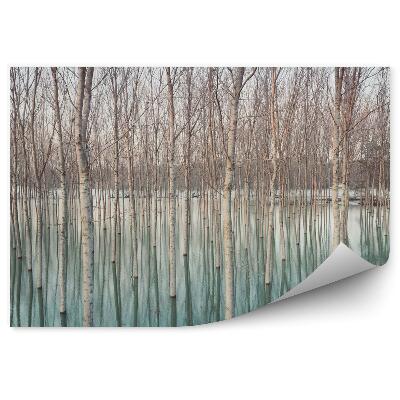 Fototapeta Brzozy w zalanej wsi naturalny wzór