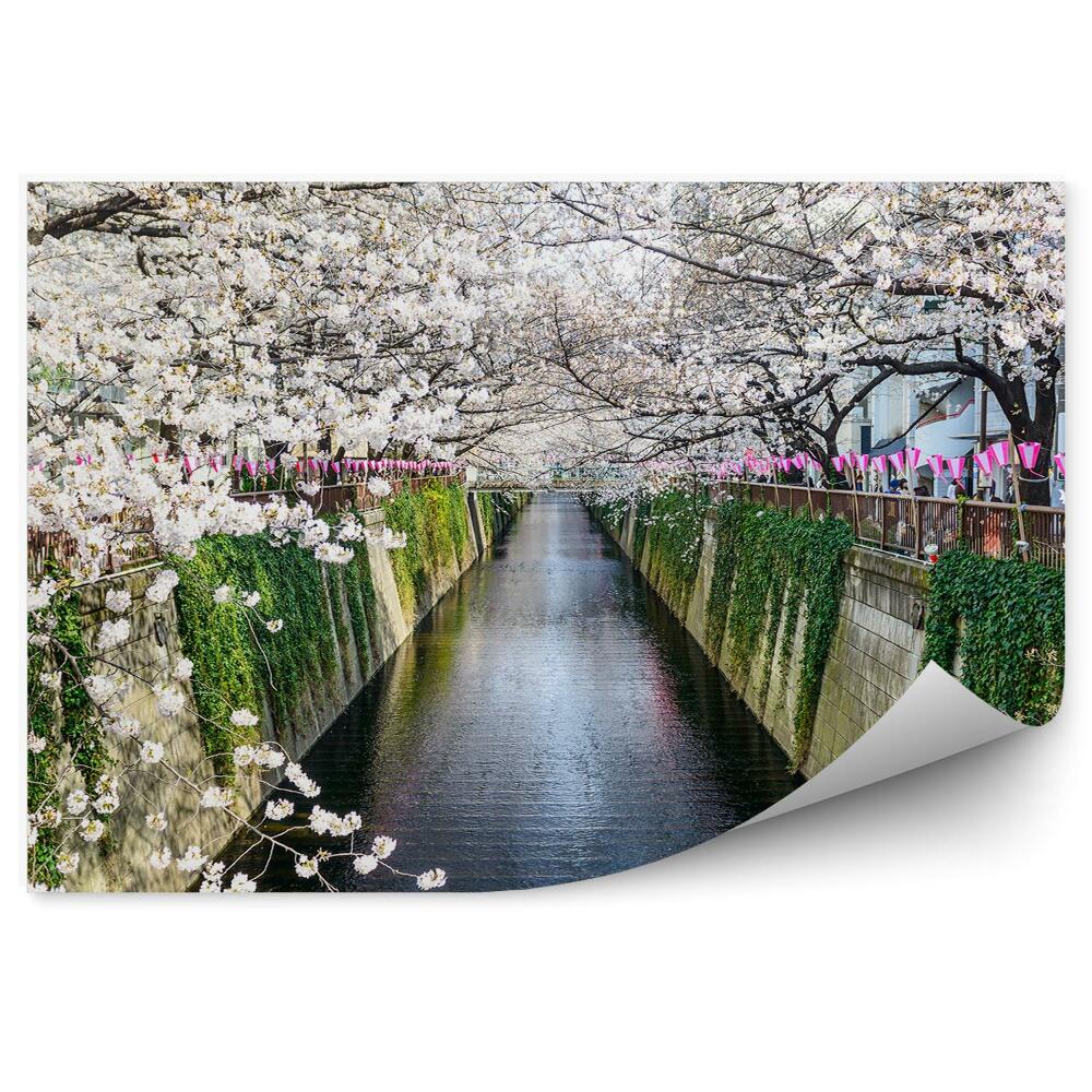 Fototapeta Kanał meguro wiosna kwiaty drzewa tokio