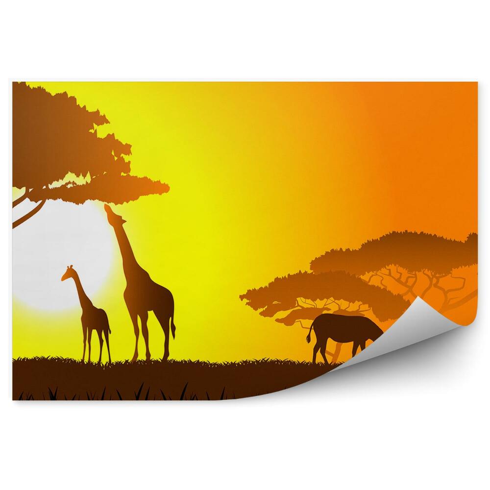 Okleina ścienna Zebry żyrafy drzewo trawa zachód słońca sawanna