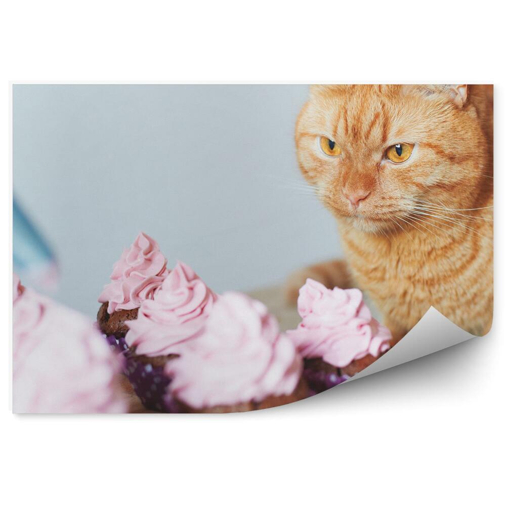Okleina na ścianę Słodkie wypieki deser babeczki kot