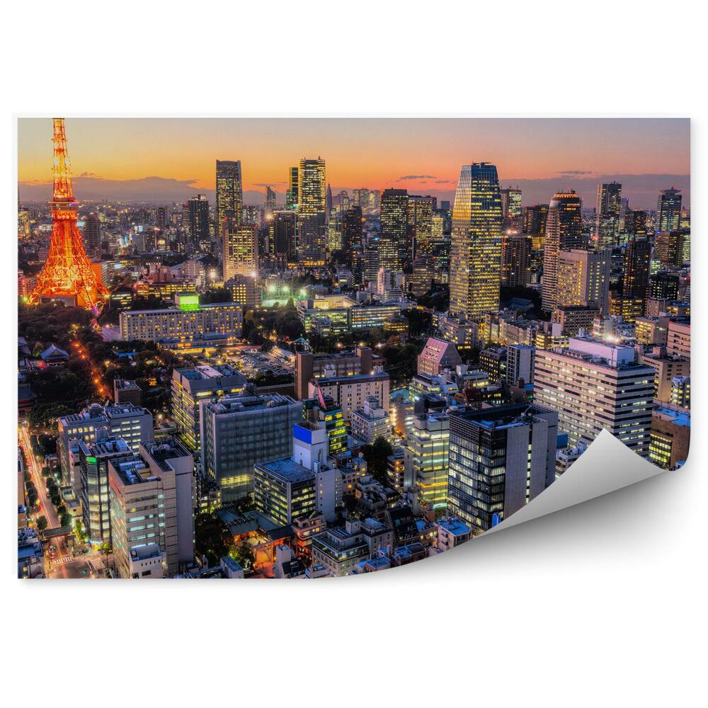 Fototapeta Tokio japonia panorama miasta budynki światła