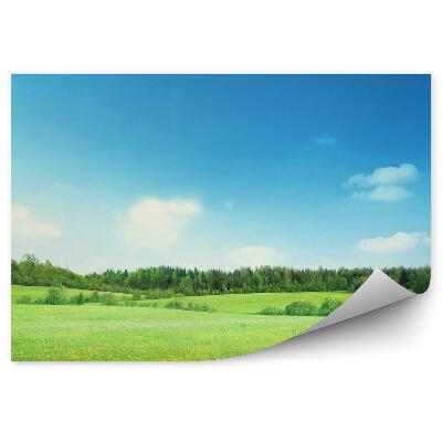 Okleina ścienna Pole trawy drzewa roślinność