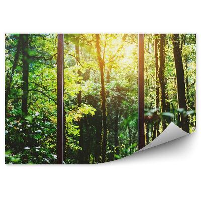 Fototapeta Duże okna z widokiem na zielony las roślinność