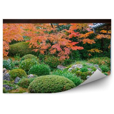 Fototapeta na ścianę Zielony azjatycki ogród krzewy drzewa