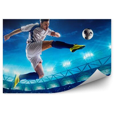 Fototapeta na ścianę Volley piłkarz na stadionie