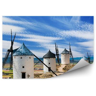 Okleina na ścianę Pola wiatraki krajobraz błękitne niebo