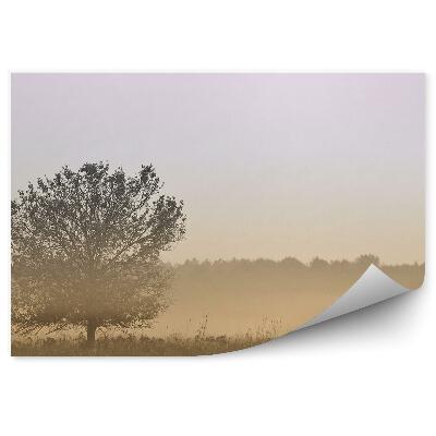 Okleina ścienna Drzewo trawa mgła