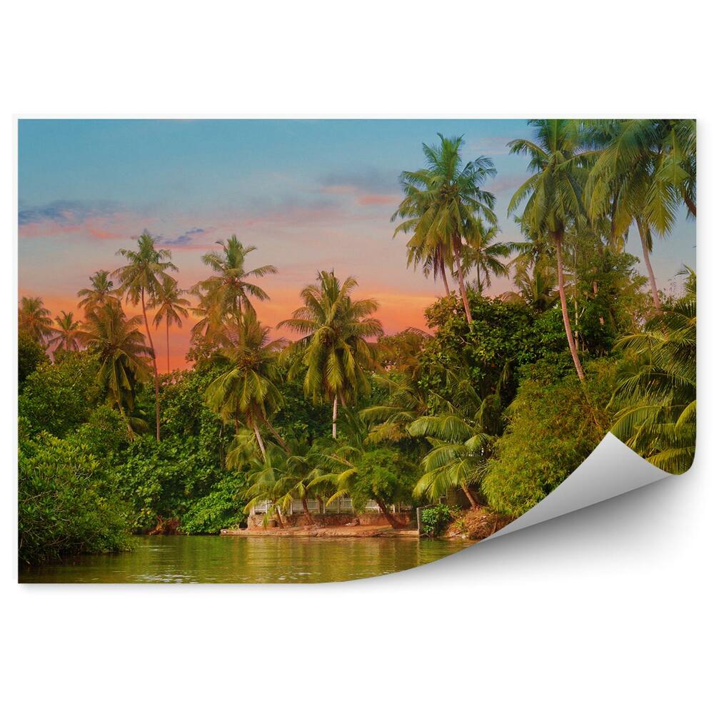Fototapeta Rzeka wschód słońca palmy rośliny
