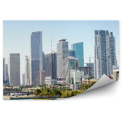 Fototapeta Wieżowce palmy ocean most niebo miami centrum