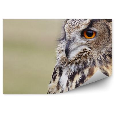 Fototapeta na ścianę Puchacz z bliska