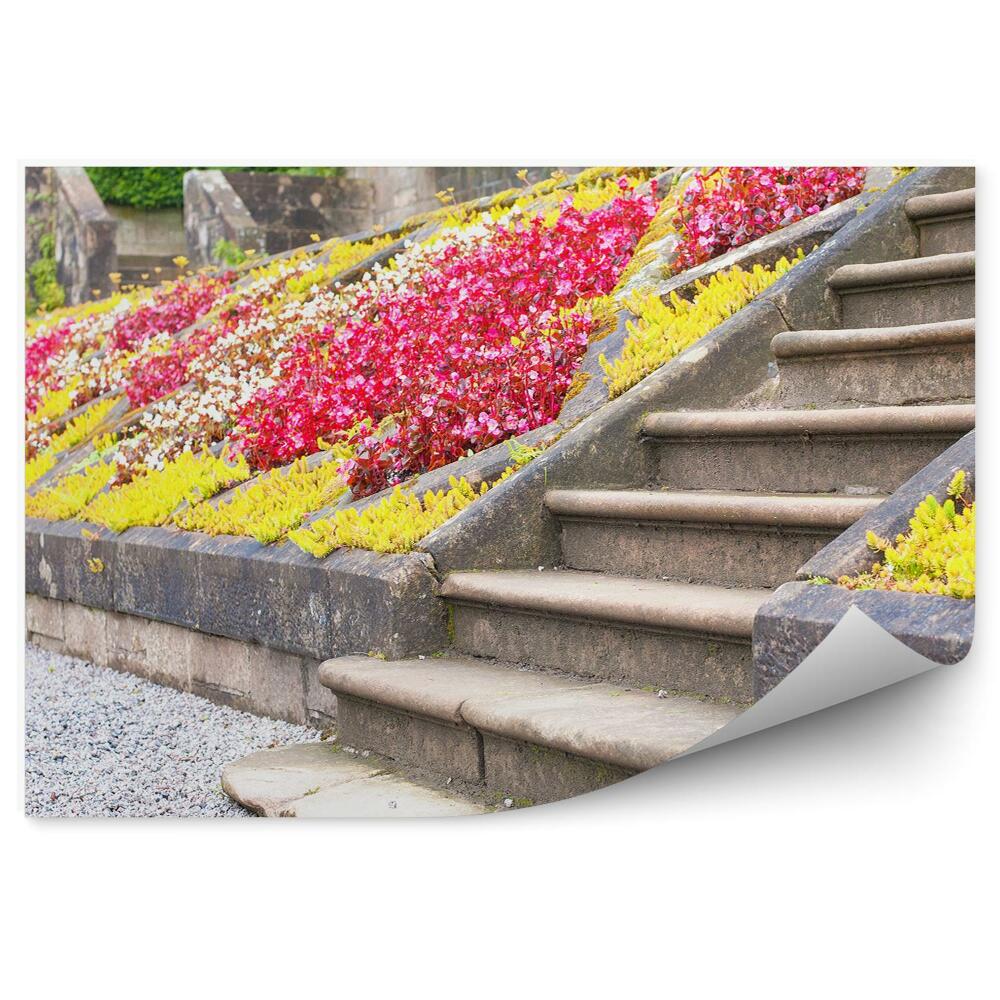 Fototapeta samoprzylepna Stare kamienne schody rabaty kwiatowe