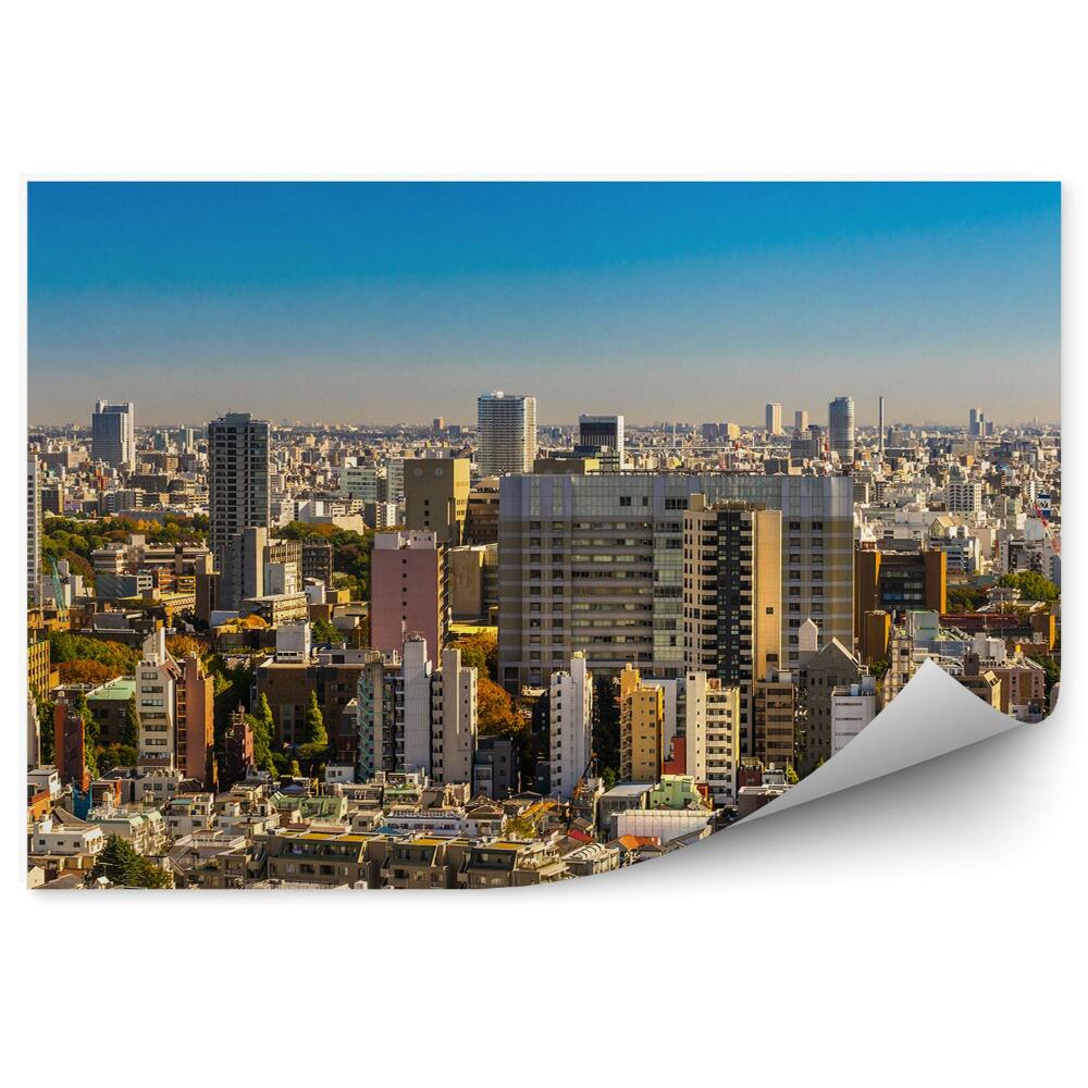 Okleina na ścianę wieżowce niebo Tokio Japonia