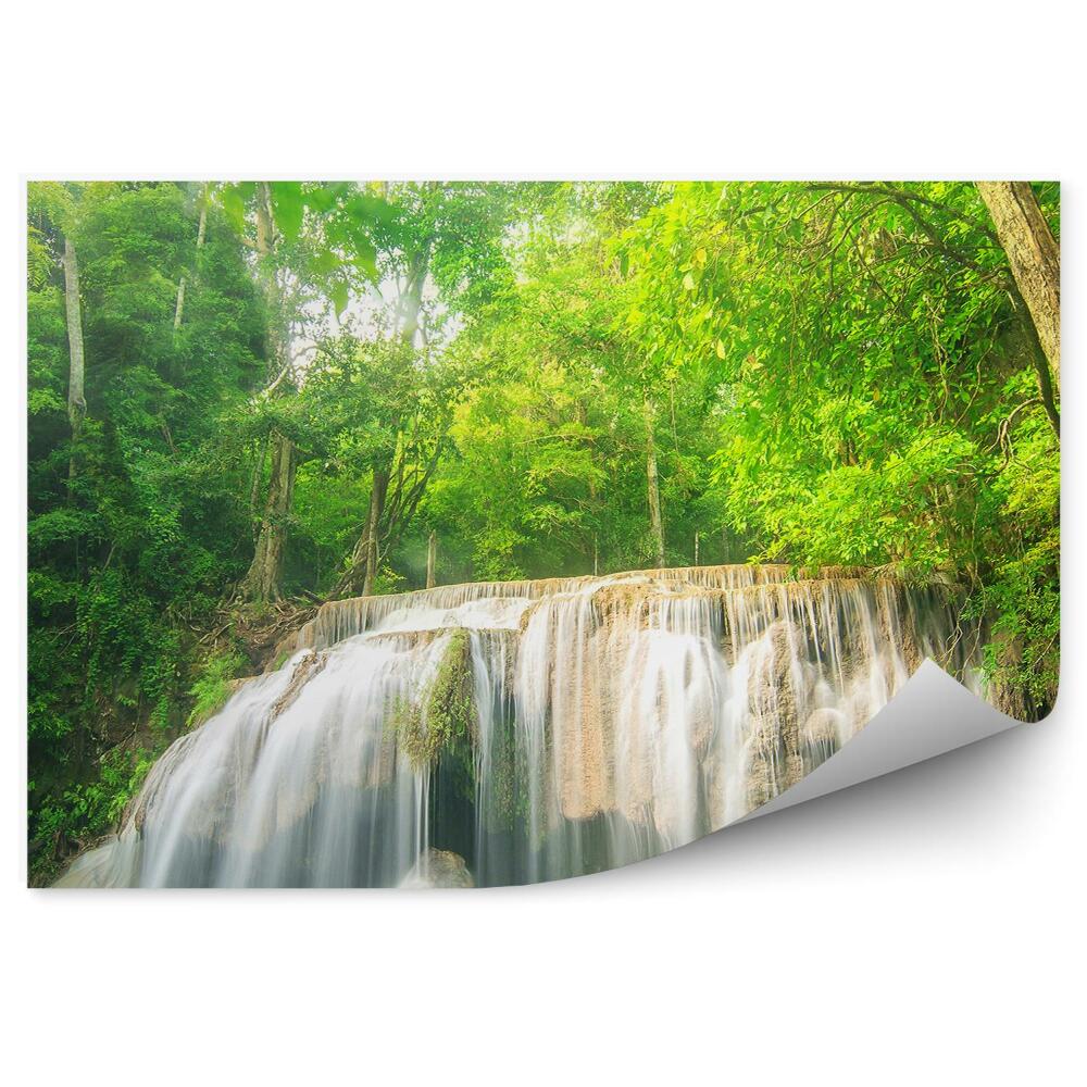 Okleina na ścianę Wodospad drzewa dżungla woda