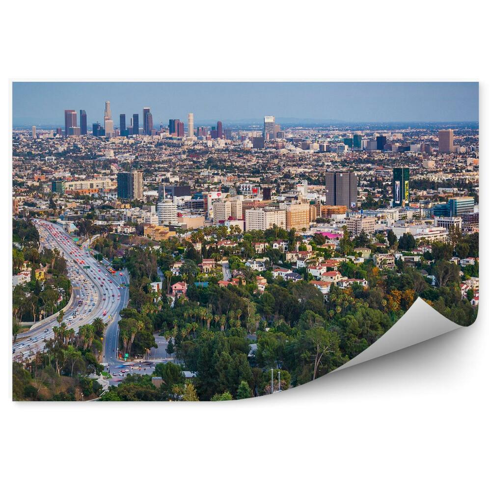 Fototapeta widok z lotu ptaka Los Angeles drzewa droga samochody