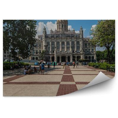 Okleina ścienna Muzeum kuba turyści natura