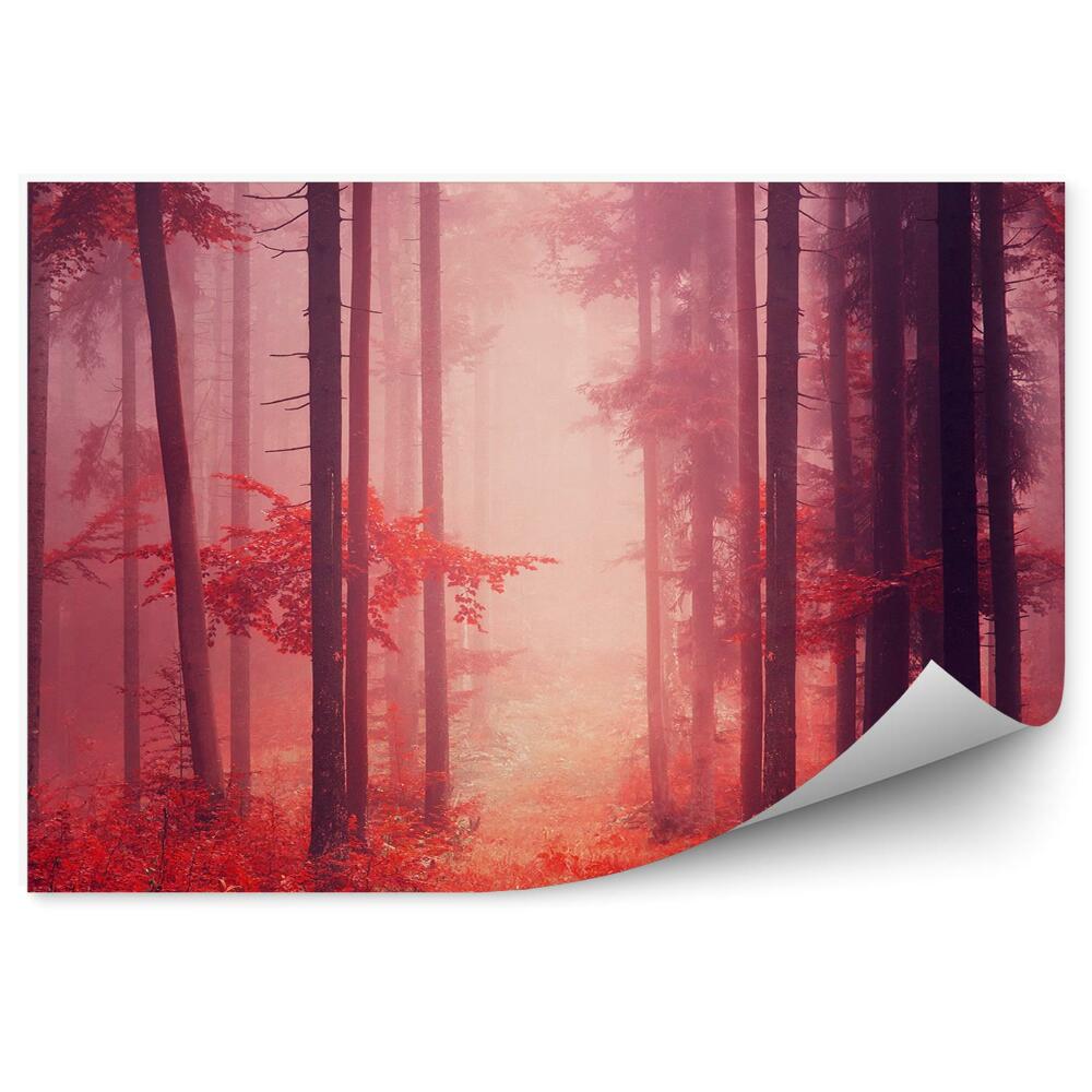 Fototapeta na ścianę Mglisty bajkowy czerwony las drzewa