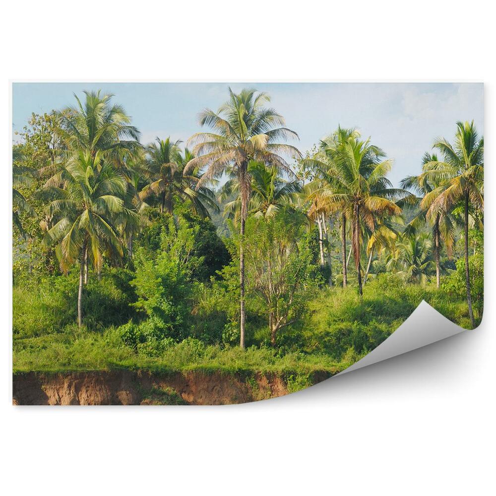 Fototapeta na ścianę Tropikalny las i palmy na brzegu rzeki