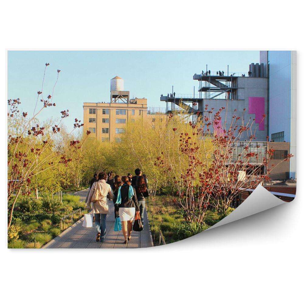 Fototapeta budynki liniowy park chodnik rośliny Nowy Jork