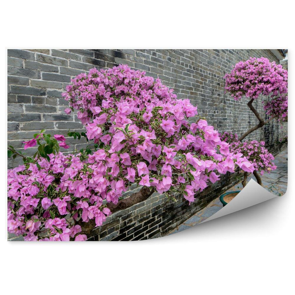 Okleina ścienna Różowe kwiaty azalii mur cegła alejka budynek ścieżka