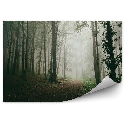Okleina ścienna Ścieżka las drzewa