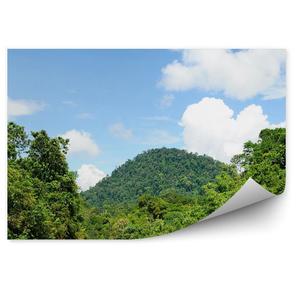 Okleina ścienna Borneo las wzgórze szosa drzewa natura