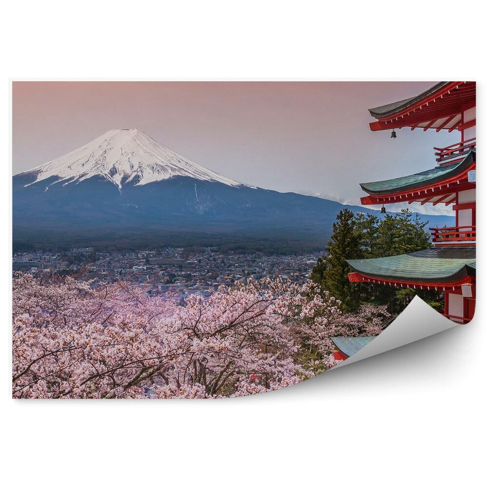 Fototapeta Góra fuji japonia kwiaty wiśni pagoda