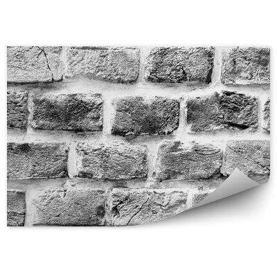 Fototapeta samoprzylepna Ceglana ściana