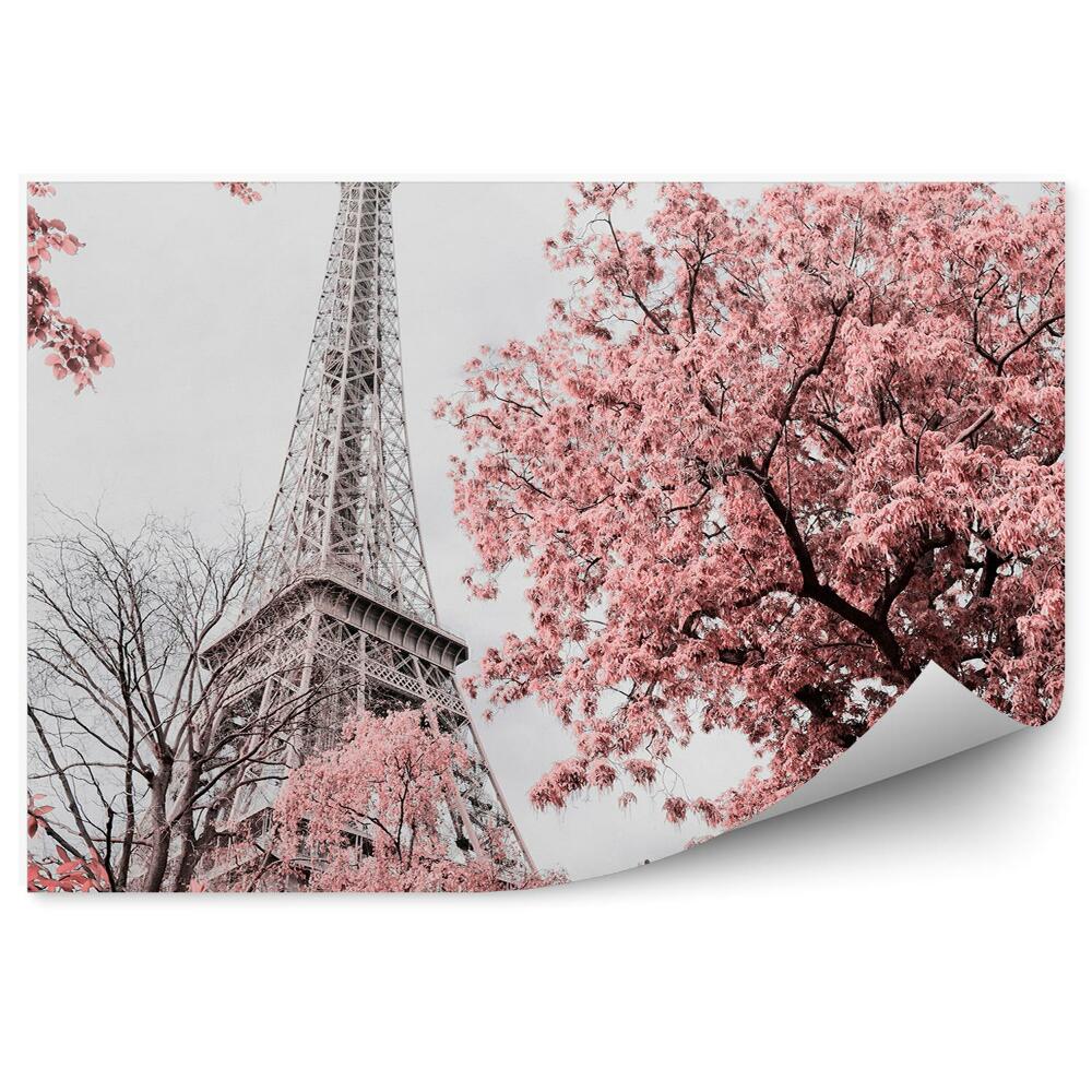 Fototapeta samoprzylepna Wiosenny widok różowe kwiaty na drzewach architektura