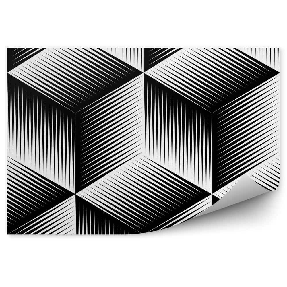 Fototapeta Czarno-biały iluzoryczne abstrakcyjne geometryczny wzór 3d