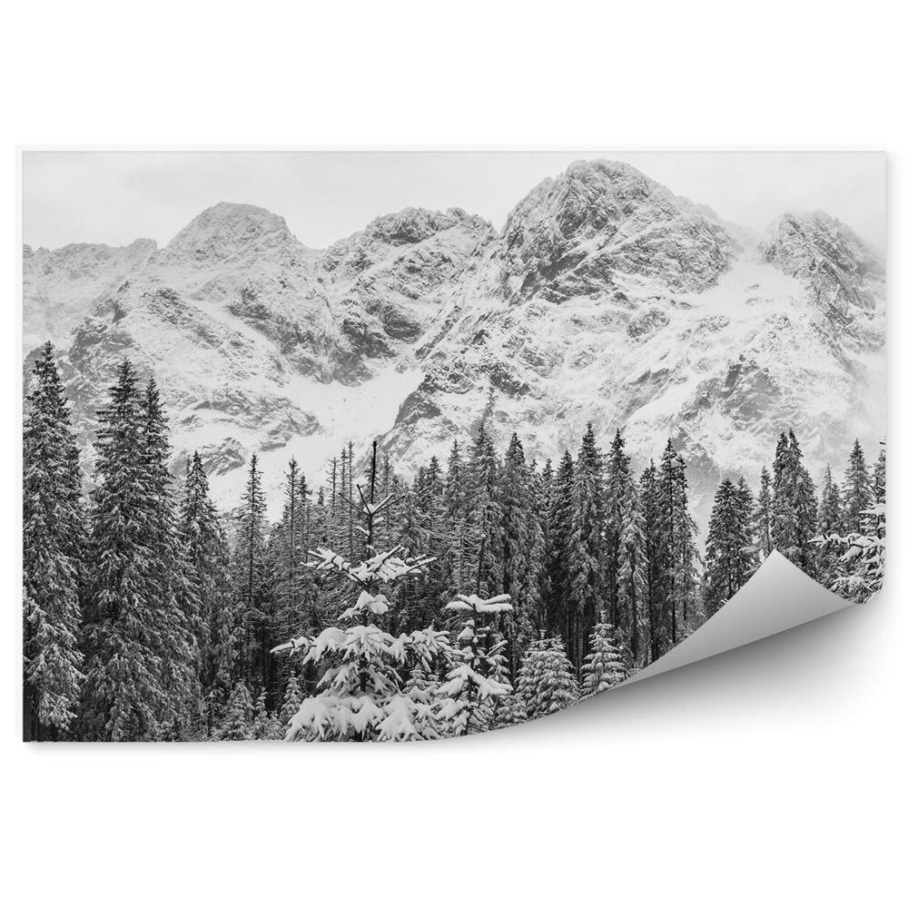 Fototapeta Zimowy las iglasty góry