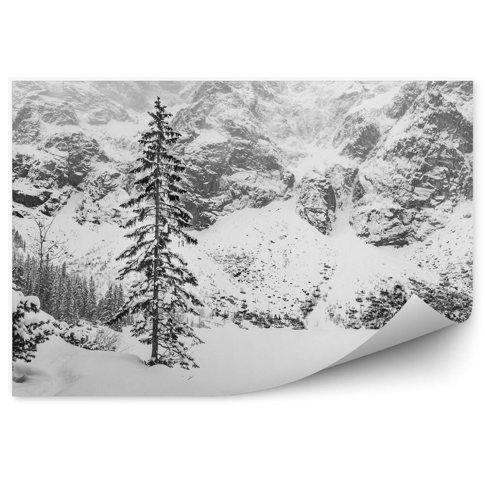 Okleina ścienna Czarno-biały krajobraz góry drzewa iglaste zima śnieg