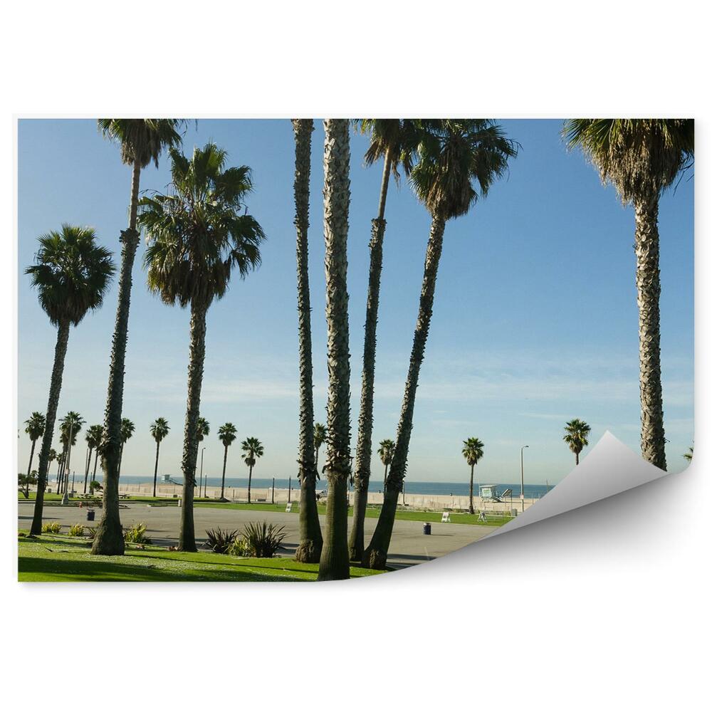 Fototapeta na ścianę palmy niebo droga ocean palmy Kalifornia