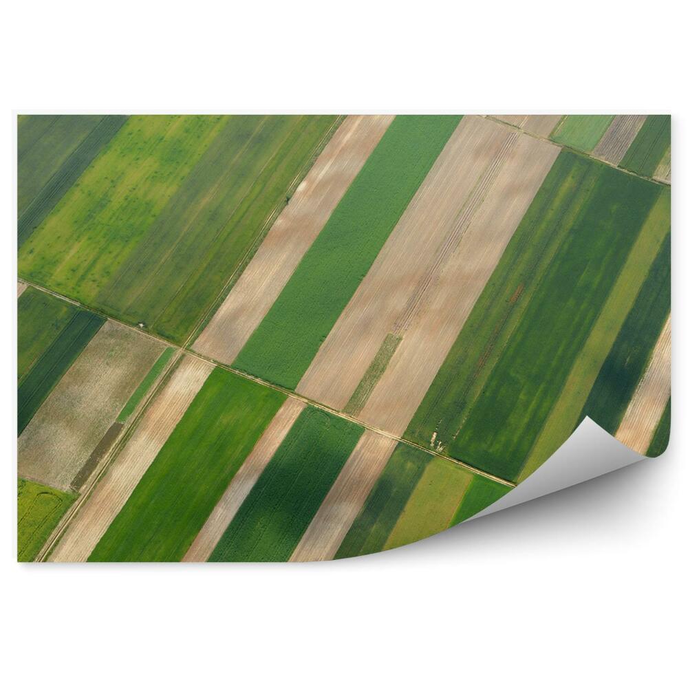 Okleina na ścianę widok z lotu ptaka pola wieś