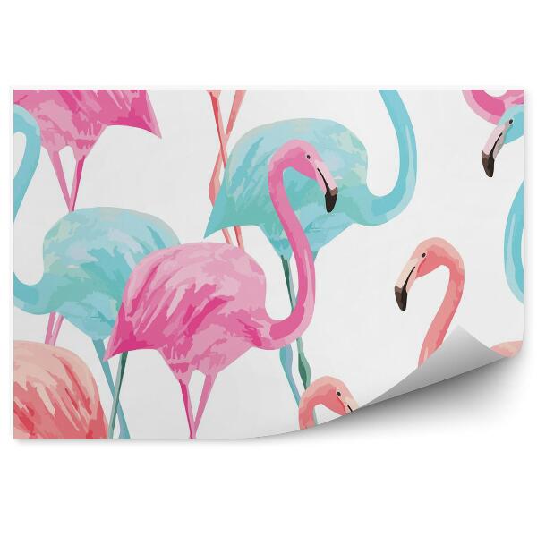 Fototapeta Flamingo akwarela