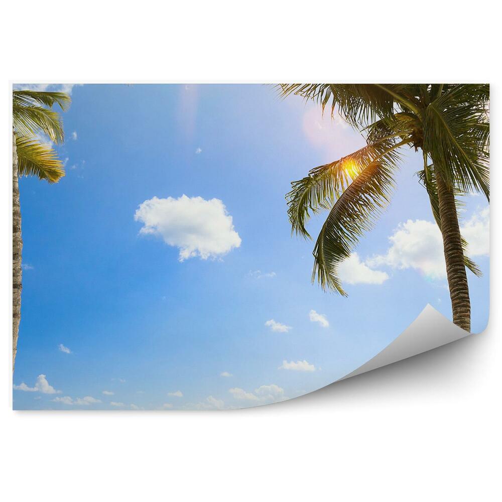 Okleina na ścianę Tropikalna plaża morze Karaibskie palmy