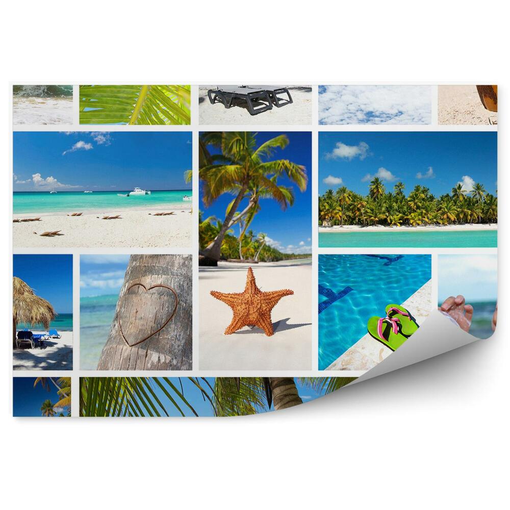 Fototapeta na ścianę kolaż palmy plaża Karaiby